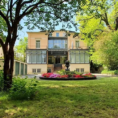 Haniel Leo * Δρέσδη