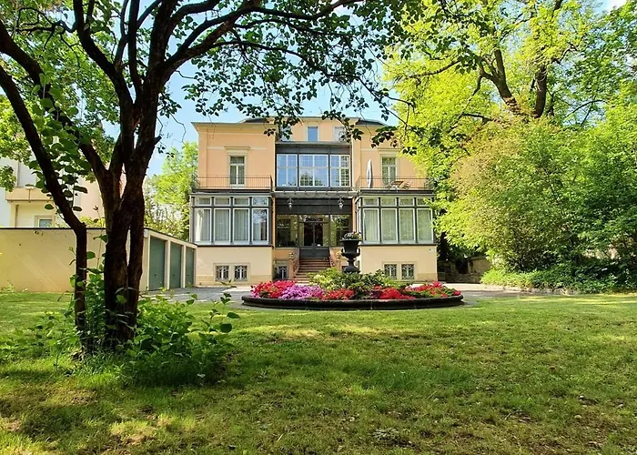 Haniel Leo * Dresden